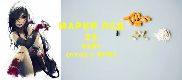 СК Касимов