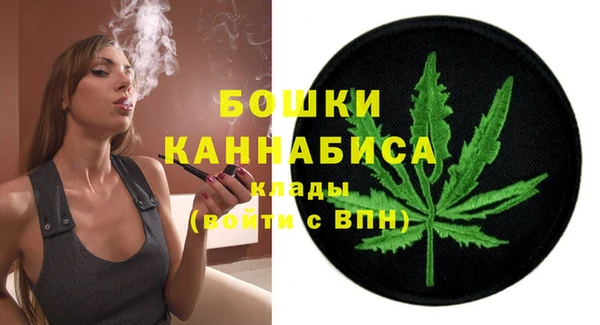 СК Касимов