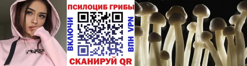 Псилоцибиновые грибы GOLDEN TEACHER Медвежьегорск