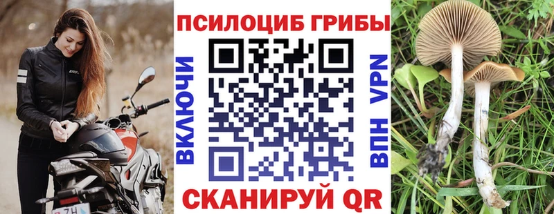 Купить где  Медвежьегорск  Псилоцибиновые грибы ЛСД 