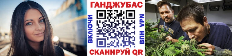 Купить  Медвежьегорск  Шишки марихуана сатива 